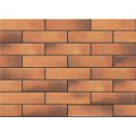 Клинкер 6.5х24.5 см Серия Retro Brick Curry 71979